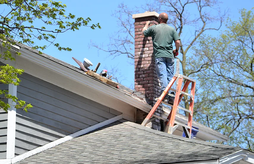 Chimney & Fireplace Inspections Services in Painesville, OH
